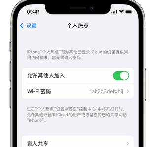 淄川apple服务站点分享iPhone上个人热点丢失了怎么办 