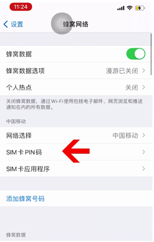 淄川苹果14维修网分享如何给iPhone14的SIM卡设置密码 