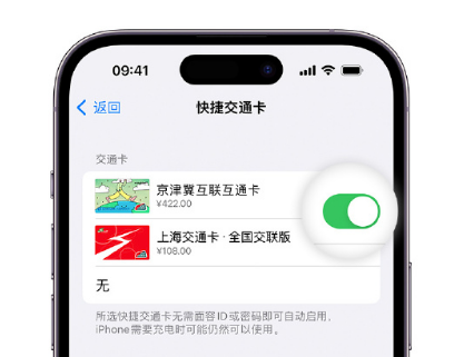 淄川apple维修点分享iPhone上更换Apple Pay快捷交通卡手绘卡面 