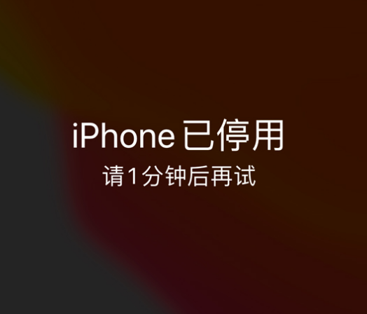 淄川苹果手机维修分享:iPhone 显示“不可用”或“已停用”怎么办？还能保留数据吗？ 