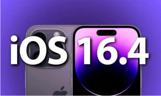 淄川苹果14维修分享：iPhone14可以升级iOS16.4beta2吗？ 