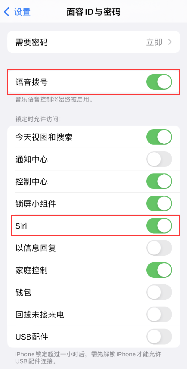 淄川苹果维修网点分享不解锁 iPhone 的情况下通过 Siri 拨打电话的方法 