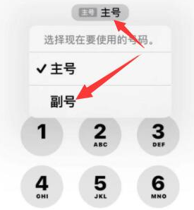 淄川苹果14维修店分享iPhone 14 Pro Max使用副卡打电话的方法 