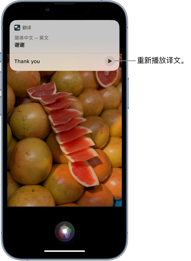 淄川苹果14维修分享 iPhone 14 机型中使用 Siri：了解 Siri 能帮你做什么 