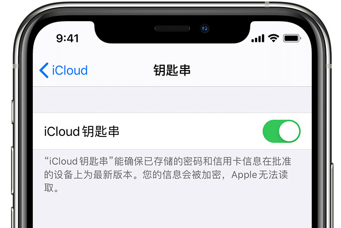 淄川苹果手机维修分享在 iPhone 上开启 iCloud 钥匙串之后会储存哪些信息 